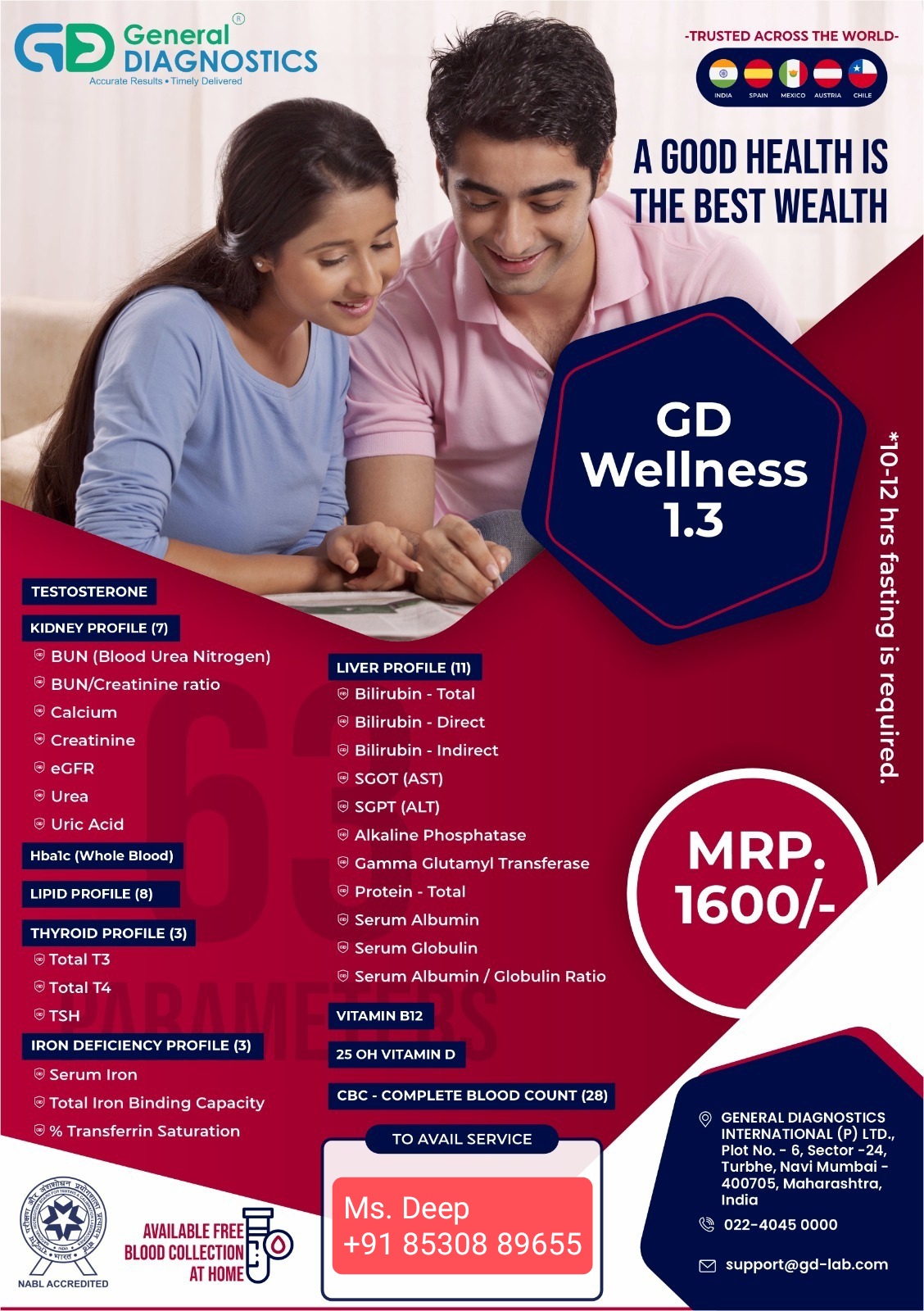 GD Wellness 1.3 brochure leaflet